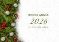 Meilleurs v&oelig;ux d'hiver pour 2026 en f&ecirc;te